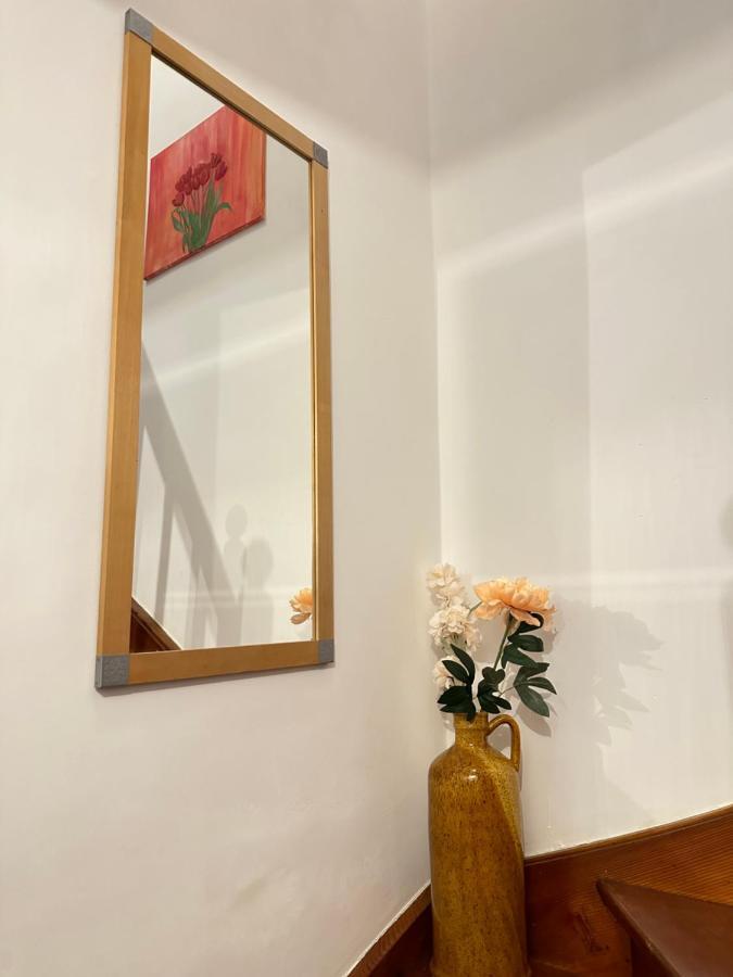 Green Paradise & Cozy Retreat Salzburg With Free Parking Bagian luar foto