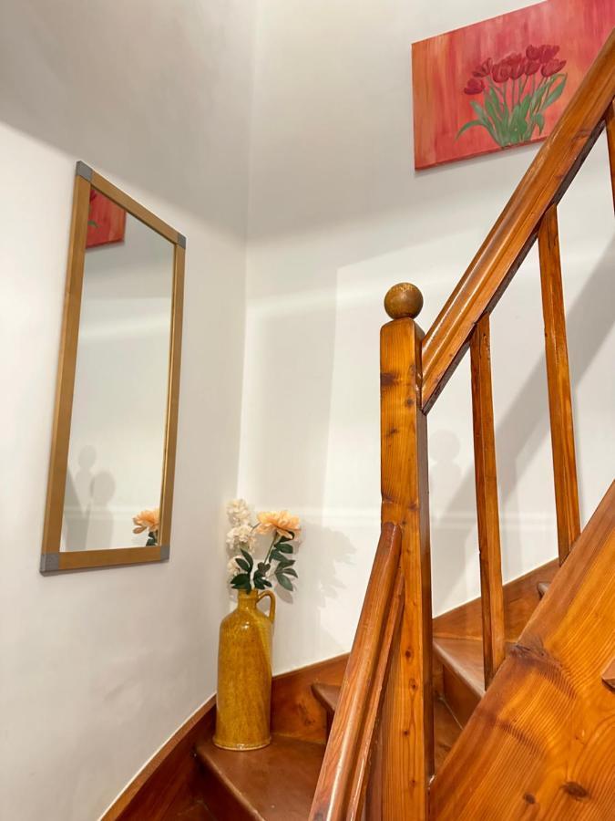Green Paradise & Cozy Retreat Salzburg With Free Parking Bagian luar foto