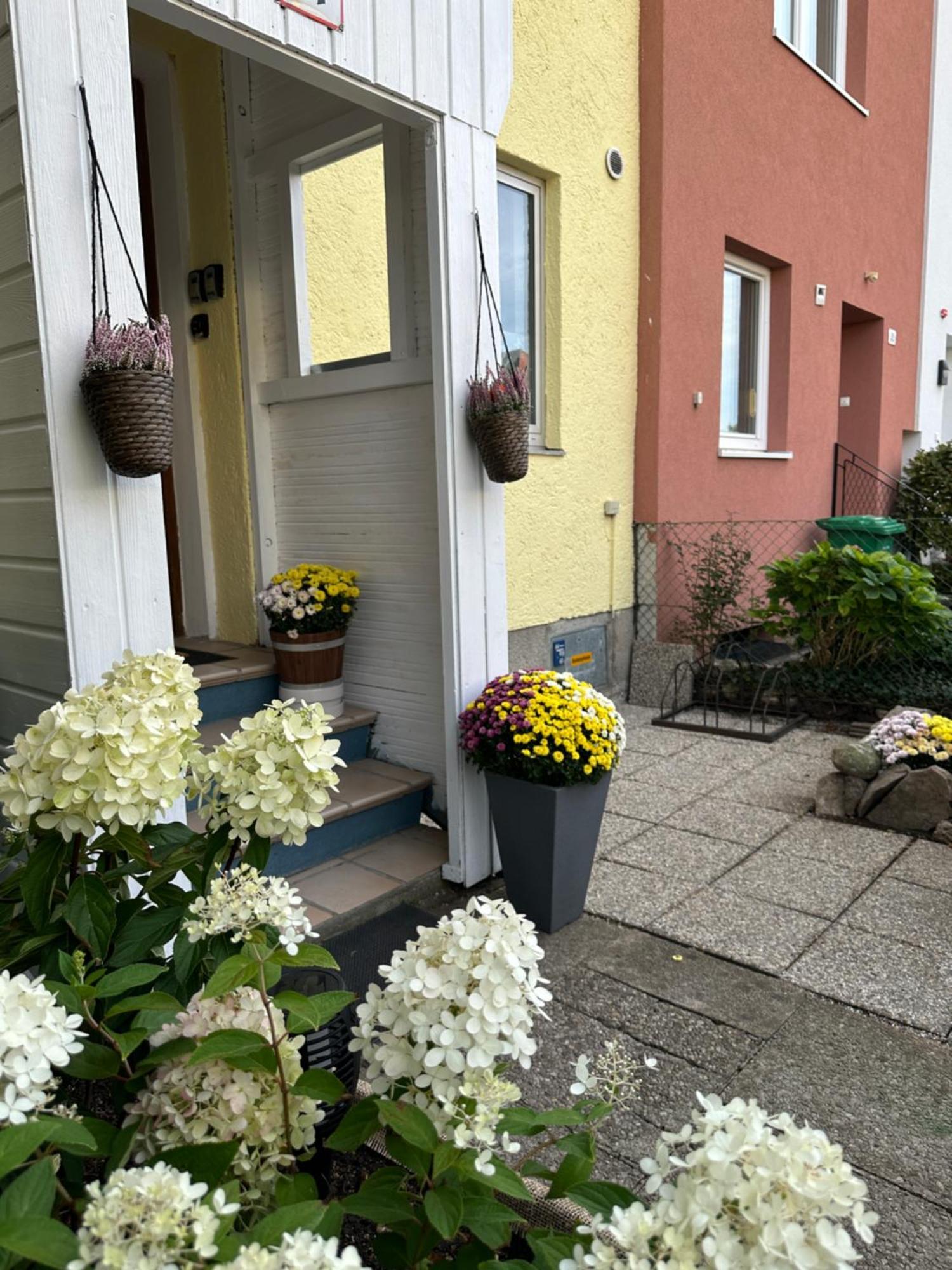 Green Paradise & Cozy Retreat Salzburg With Free Parking Bagian luar foto